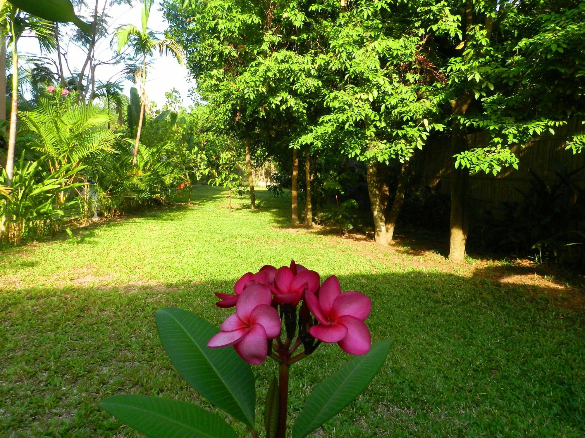 Villa Nissa เสียมราฐ ภายนอก รูปภาพ