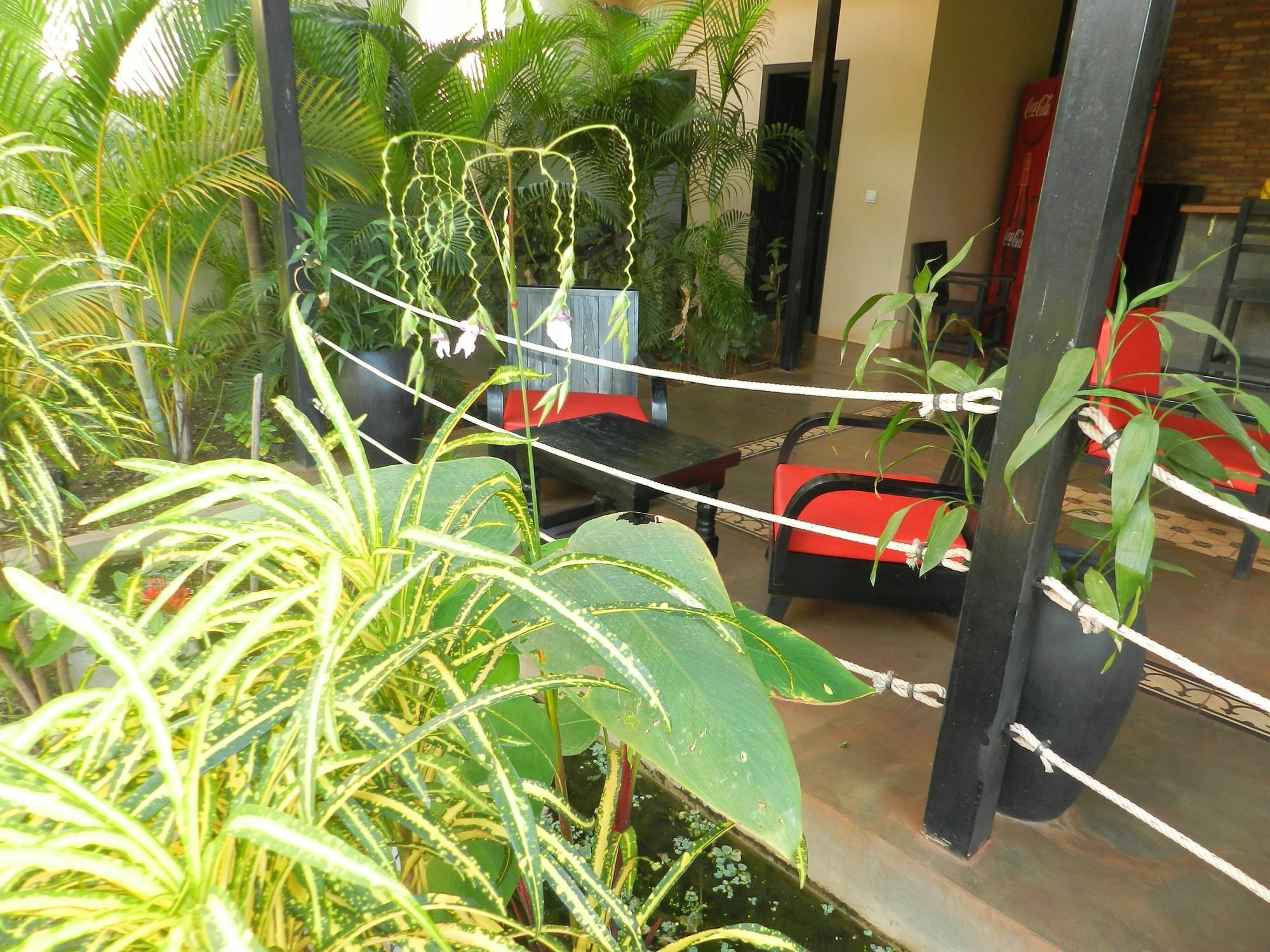 Villa Nissa เสียมราฐ ภายนอก รูปภาพ